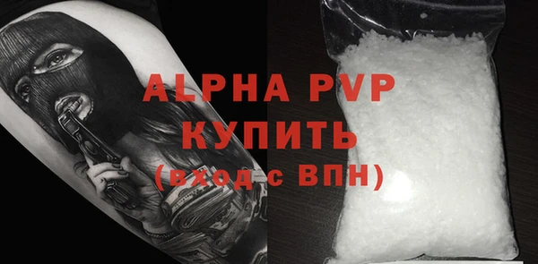 гашик Богданович