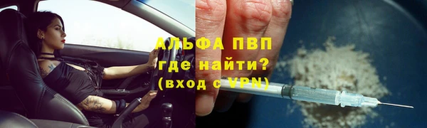 гашик Богданович