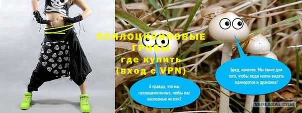 первитин Белокуриха